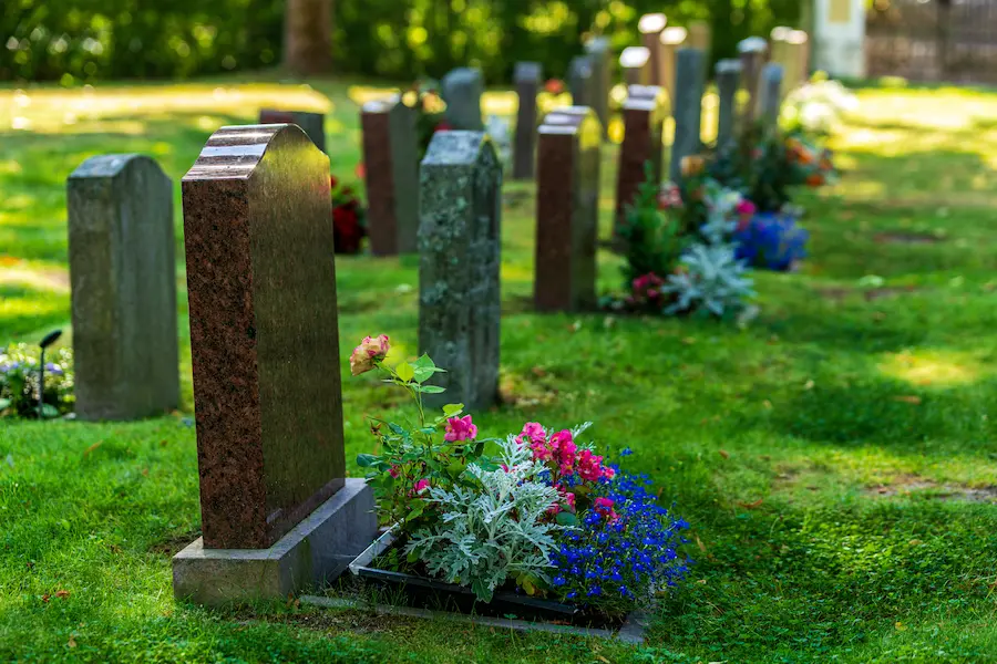 Rows of headstones and flowers