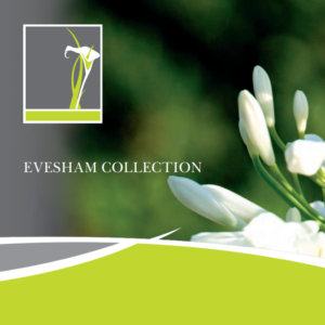 Evesham Collection